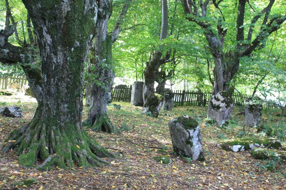Nekropola sa stećcima u Bečanima, historijsko područje